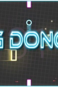 Ding Dong XL Review