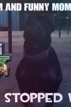 Gta V Random And Funny Moments 17