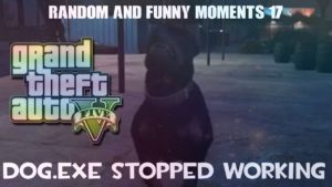Gta V Random And Funny Moments 17