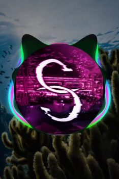 Martin Garrix feat. Clinton Kane – Drown (Spranxx Progressive Remix)