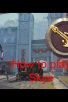Paladins:How to play Skye