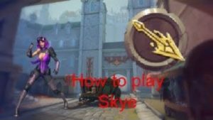Paladins:How to play Skye
