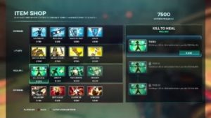 Paladins:Understanding the item shop