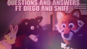 Questions and answers FT Diego Fox & Sniff Wuff