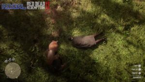 A Quick and Wild Ride [Red Dead Redemption 2][Ultra HD][60fps]