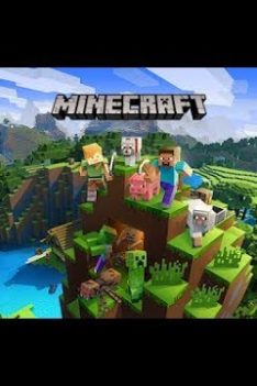 Birthday Minecraft Stream– Anarchy Server (Server link in Description below)