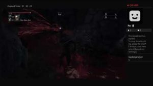 Bloodborne – The Drunkening – 25 – ZaneKiryu (PS4 Live)