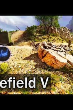 First time learning as a passenger in a plane in Battlefield V | Passenger assists