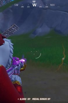 Fortnite: Elimination win first time on PC