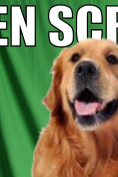 Green Screen Hell: Super Stupid Time (With Others)