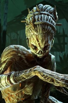 HAG VS TOXIC SWF | Dead by Daylight #IntoTheFog