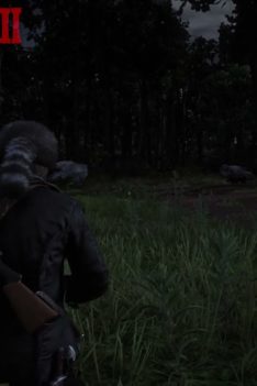 Hunting Predators [Red Dead Redemption 2][Ultra HD][60fps]