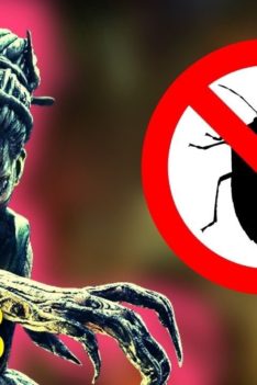 PTB: A BUGGY MESS?  | Dead by Daylight #IntoTheFog