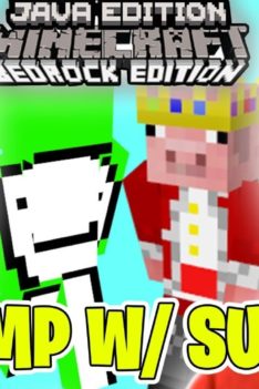 PUBLIC Minecraft SMP JOINABLE – Java & Bedrock Survival Server live stream playing with subscribers