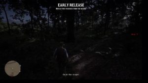 Red Dead Redemption 2 First time online!
