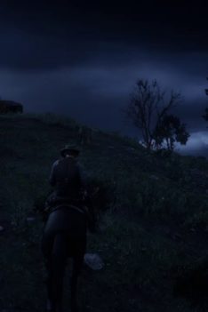 Red Dead Redemption 2 Trying to get $