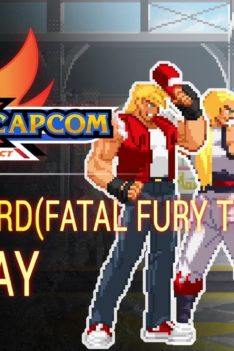 SNK X Capcom, Terry Bogard(Fatal Fury Team) Gameplay