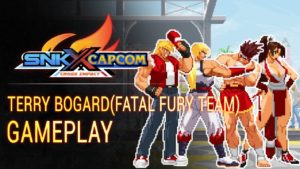 SNK X Capcom, Terry Bogard(Fatal Fury Team) Gameplay