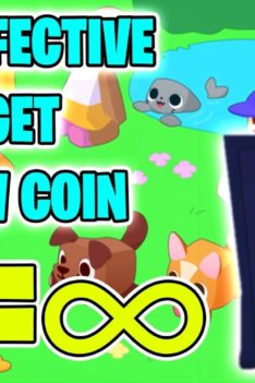 Most Effective way to get lots of Rainbow coins in Pet simulator x – Roblox game