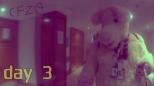 ConFuzzled 2019 Day 3