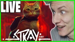CUTEST GAME EVER MADE | Stray full Gameplay live