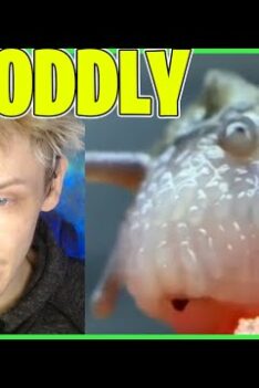 ODDLY SATISFYING TIKTOKS #2