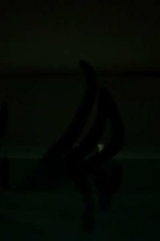 The Poolrooms Experience Full Game