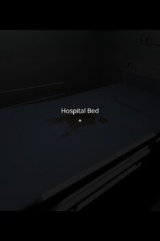 The Hospital Full Game