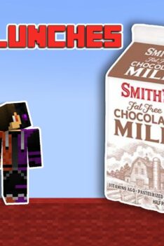 my thoughts on school lunches