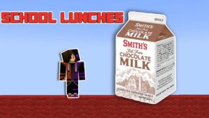 my thoughts on school lunches