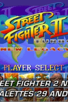 Super Street Fighter 2 Turbo New Legacy – Secret Palettes Tutorial