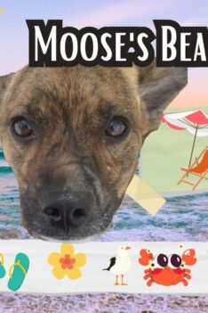 Moose’s Beach Episode