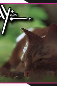 Chapter 1 – Inside the Wall | Stray