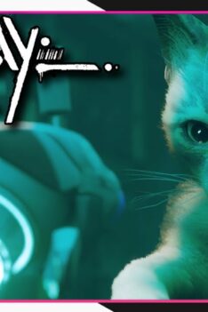 Chapter 3 – The Flat | Stray