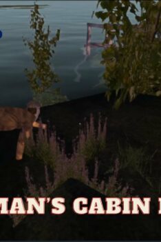 My summer car Win Pigmans Cabin