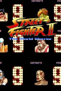 Street Fighter 2 – World Warrior – All Game Over Animations