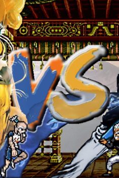 Netero Vs Silver Fang (Hunter x Hunter vs One Punch Man)