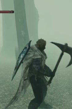 My Dark Souls 2 Redemption Arc Continues 😤 | Getting Revenge On The Shaded Woods Ghosts #darksouls2